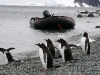 Antarctica.2010.IMG_2630