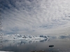 Antarctica.2010.IMG_3126